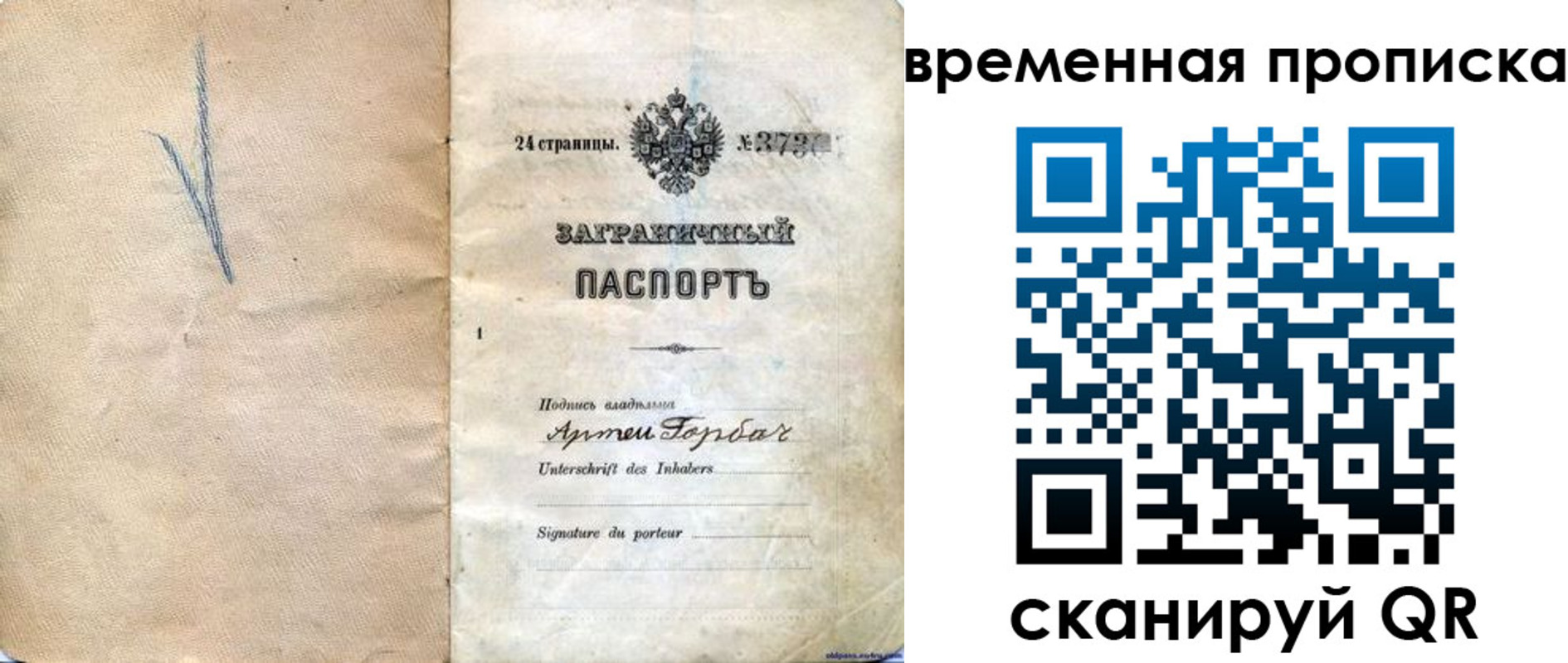 прописка поиск в Невеле